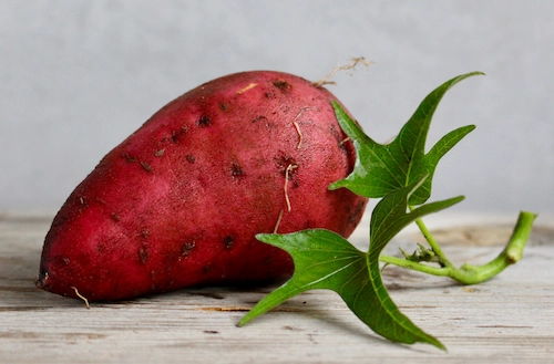 Sweet potato on a table behind a gray background